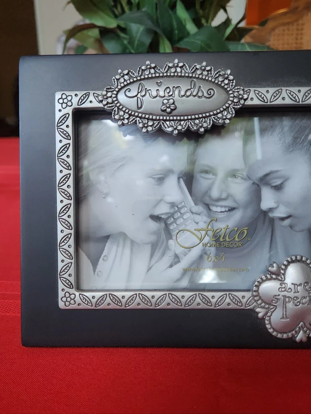 Friends Decorative Black Picture Frame with Silver Accents